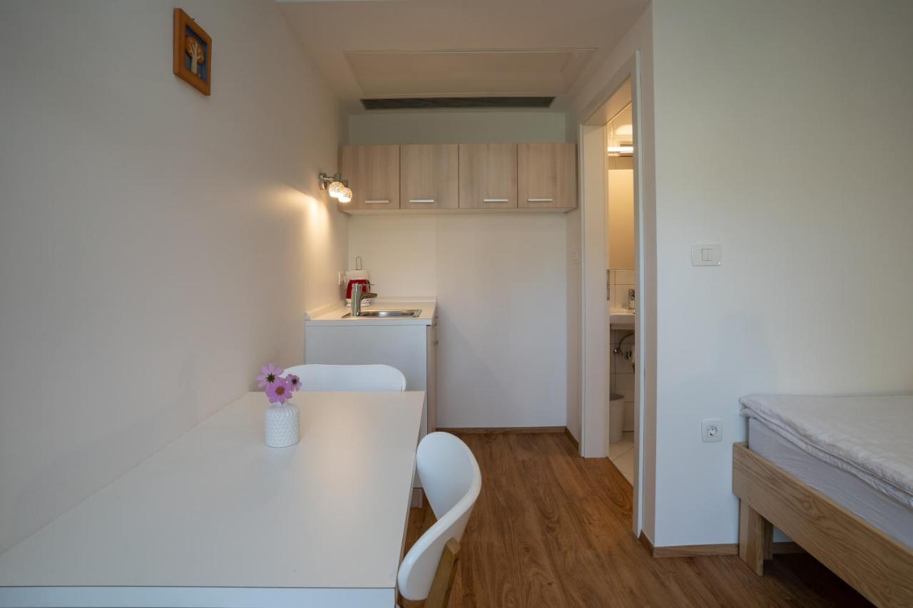 Accommodation Baron Ljubljana Kültér fotó