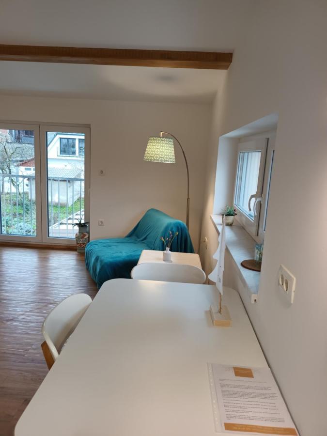 Accommodation Baron Ljubljana Kültér fotó
